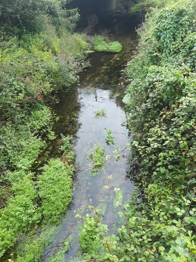 Parque das ánimas 6