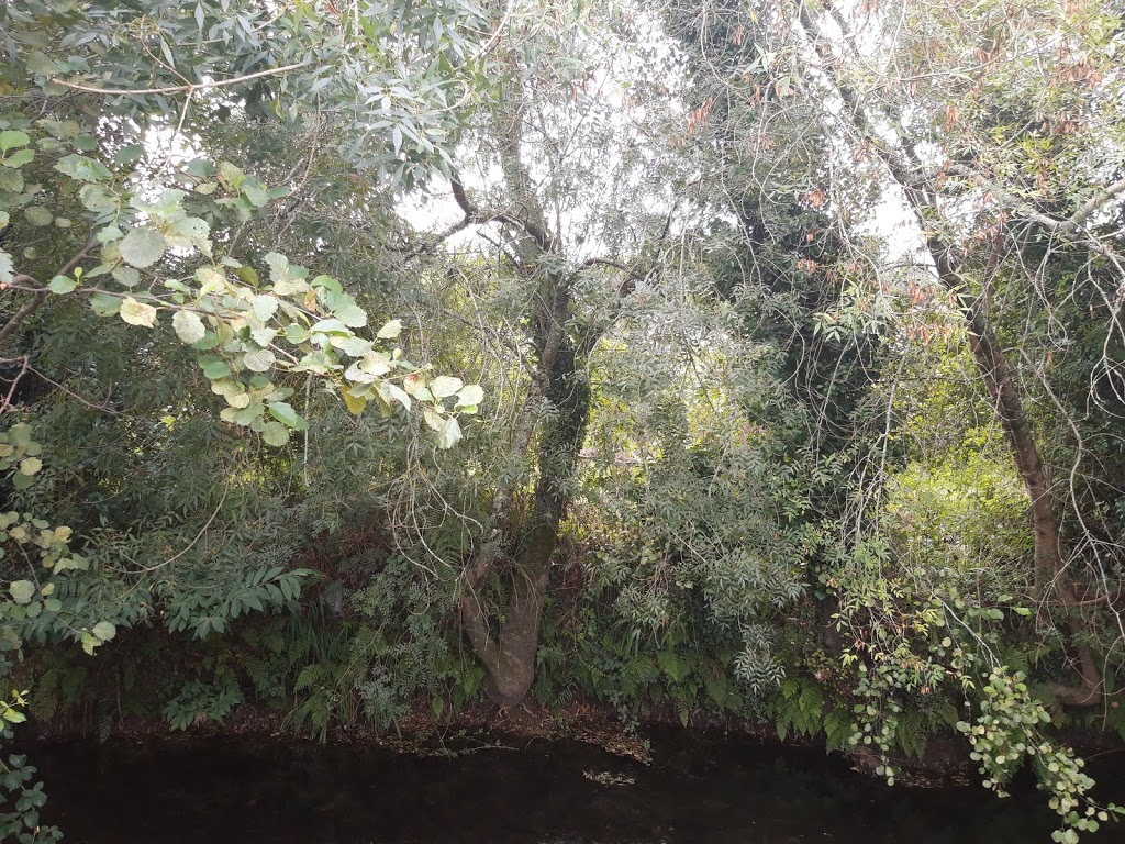 Parque das ánimas 7