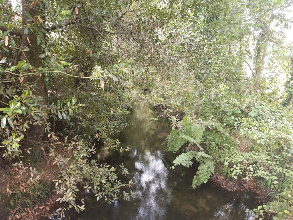 Parque das ánimas 9