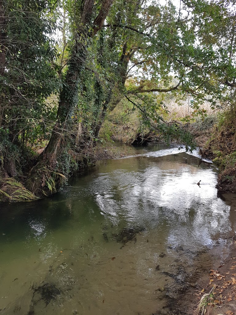 Parque das ánimas 11