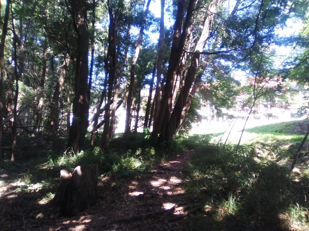 Parque da Coelleira 4