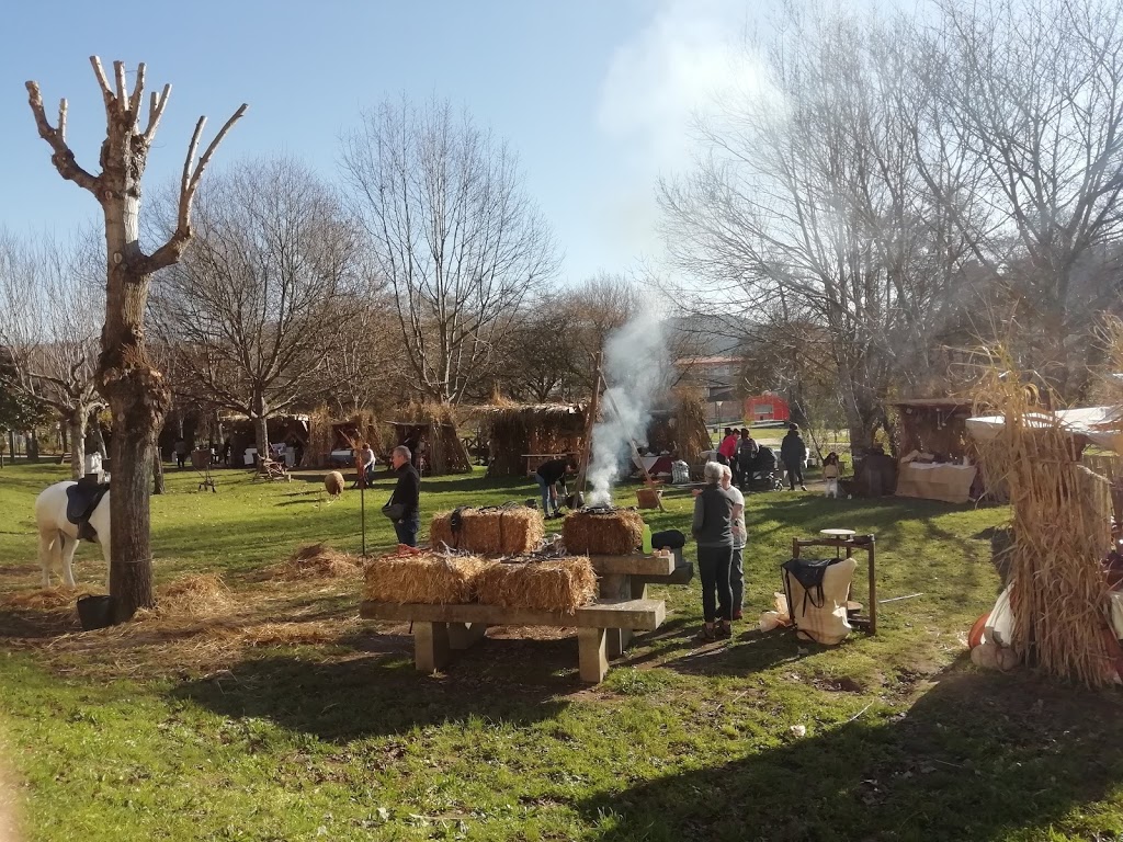 Parque da Coelleira 5