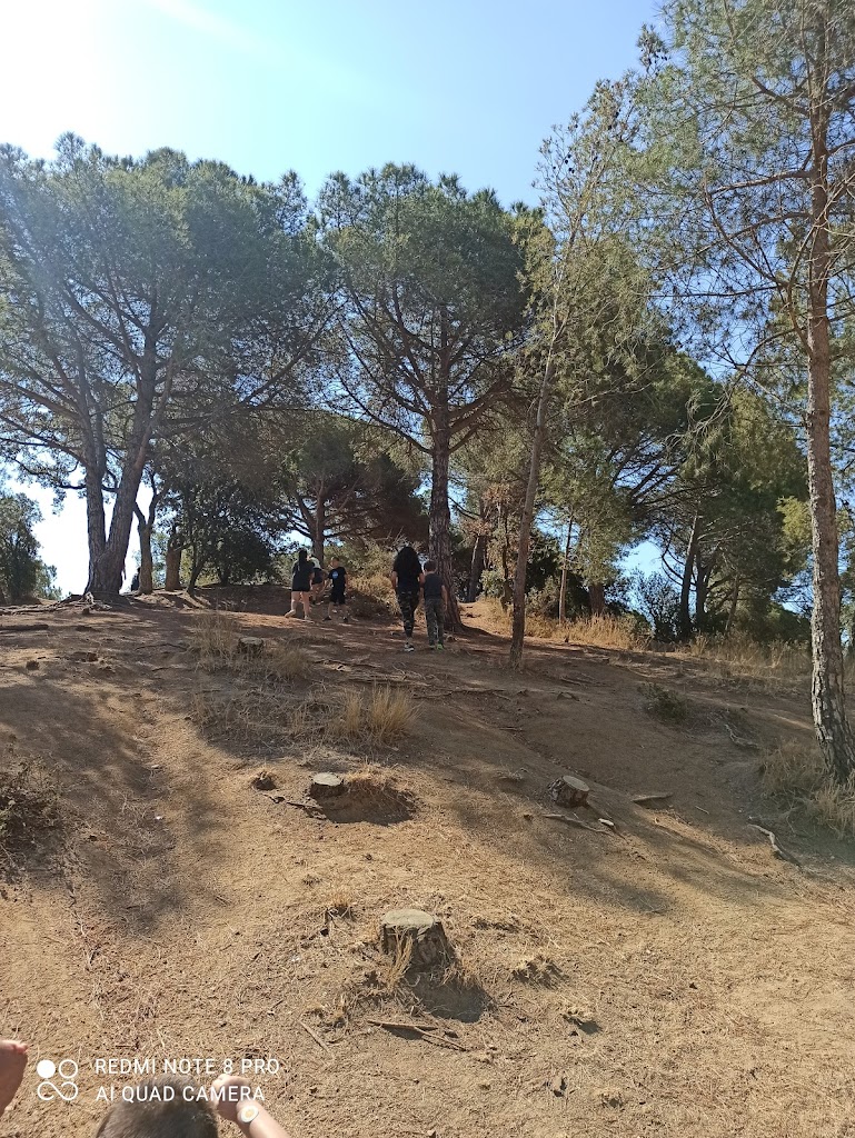 Foto  14