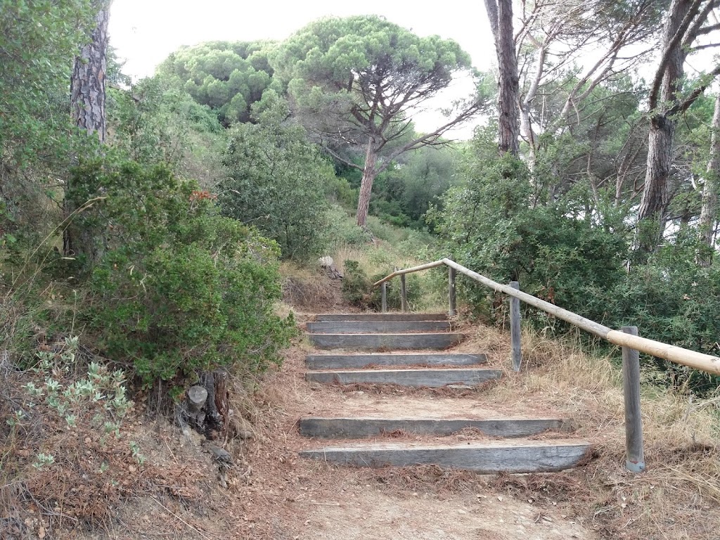 Foto  15