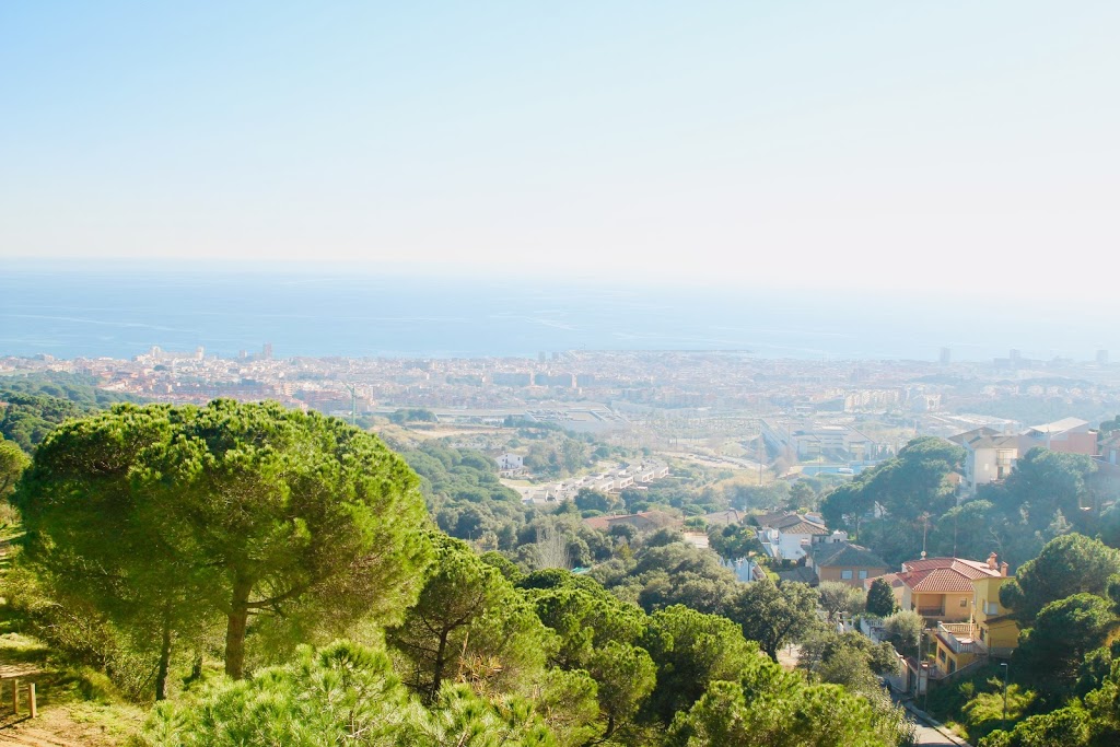 Foto  4