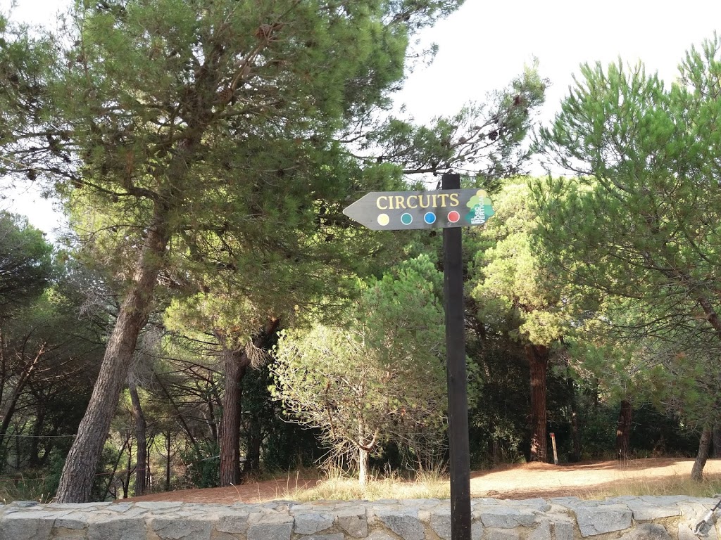 Foto  5