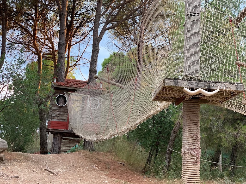 Foto  5