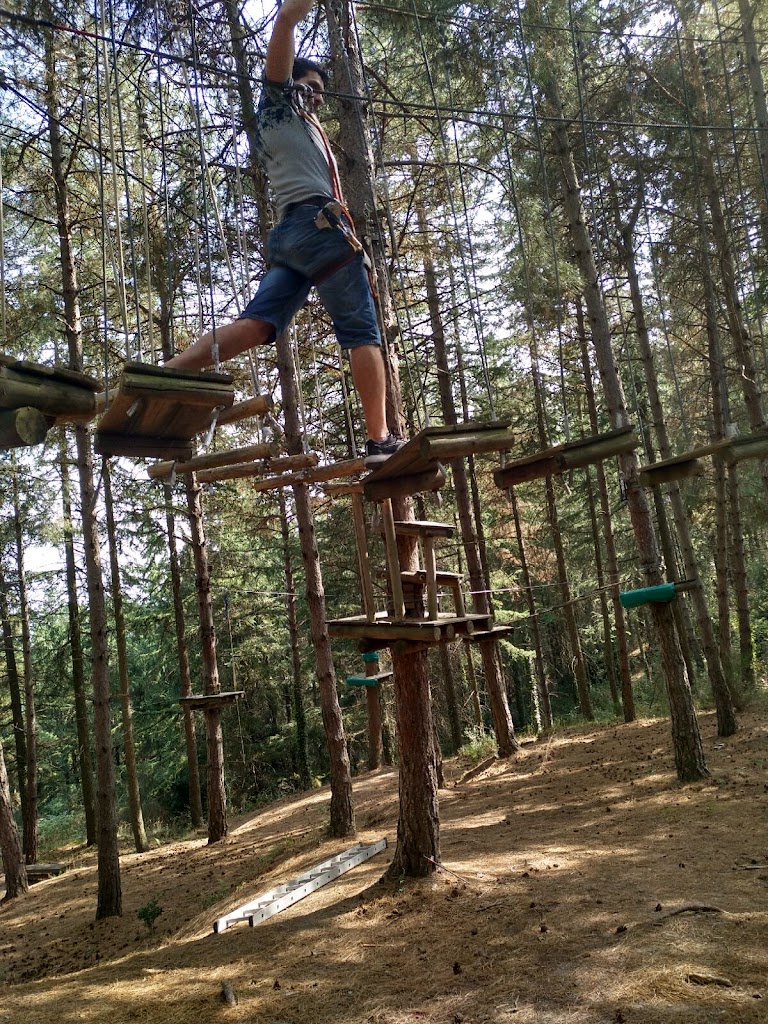 Foto  9