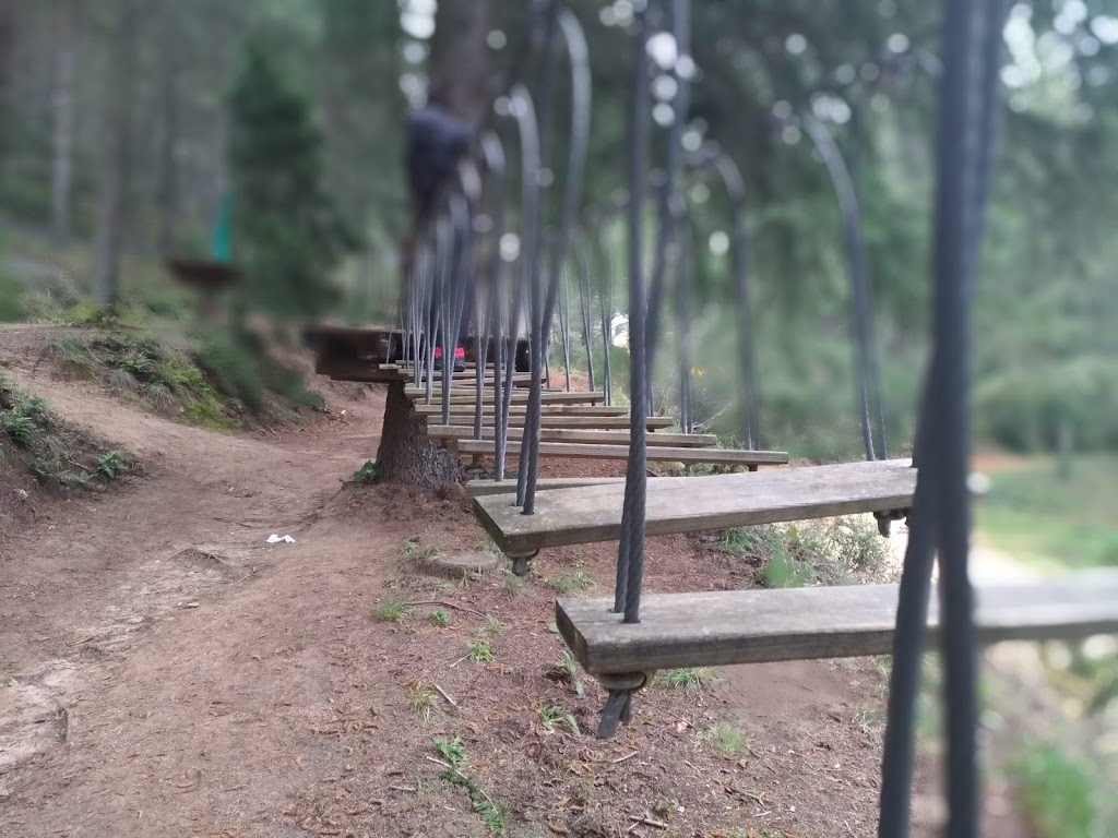 Foto  14
