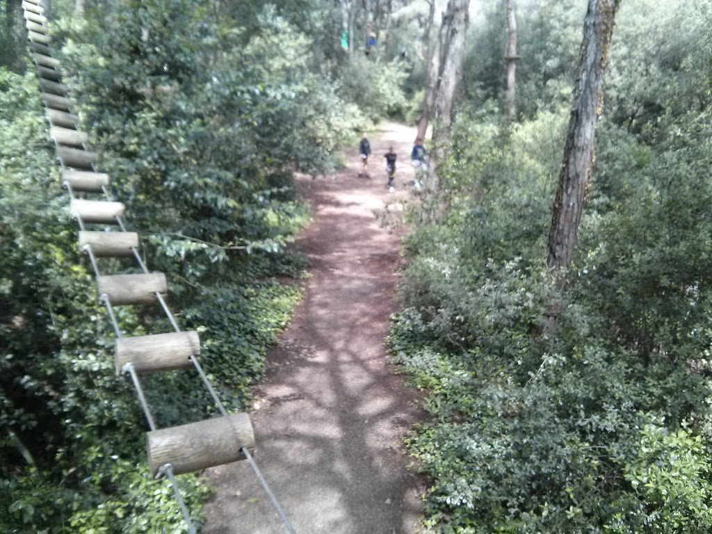 Jalpí Aventura 10