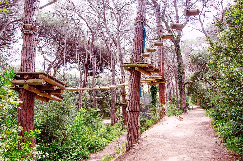 Jalpí Aventura 14