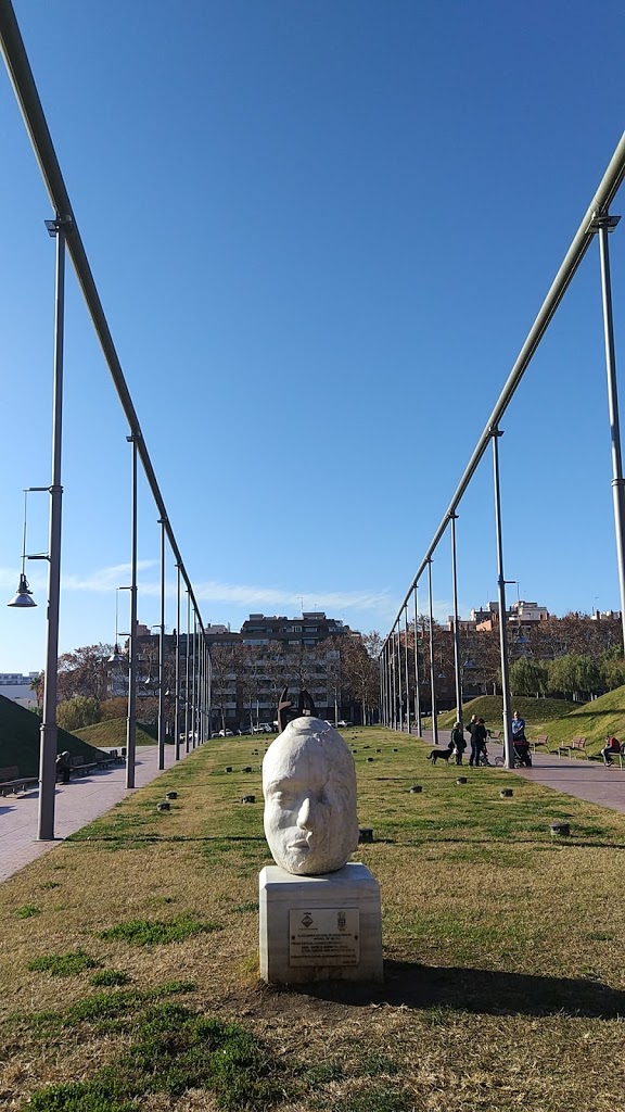 Foto  7
