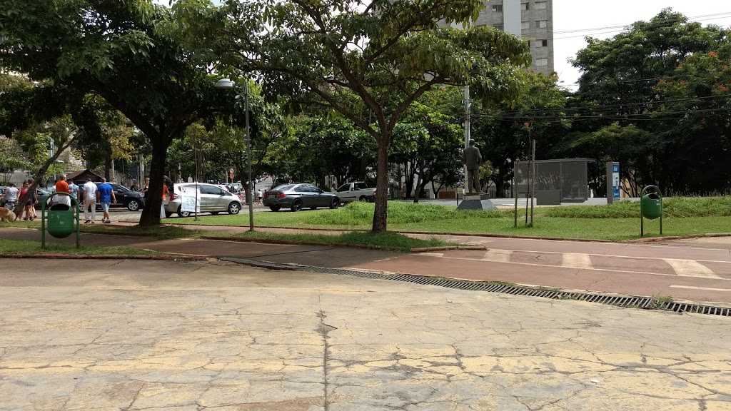 Foto  7
