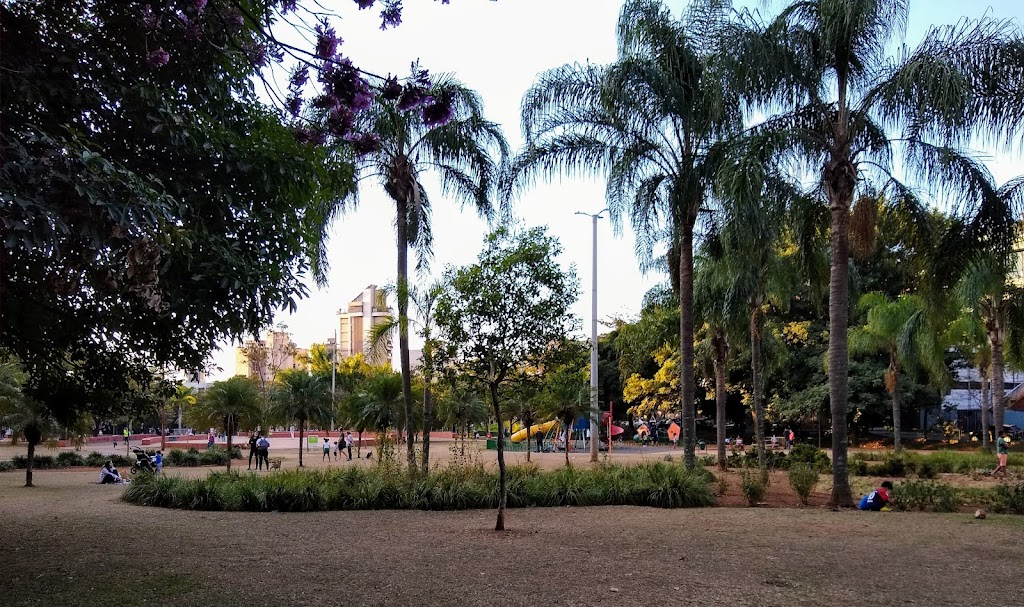 Foto  9