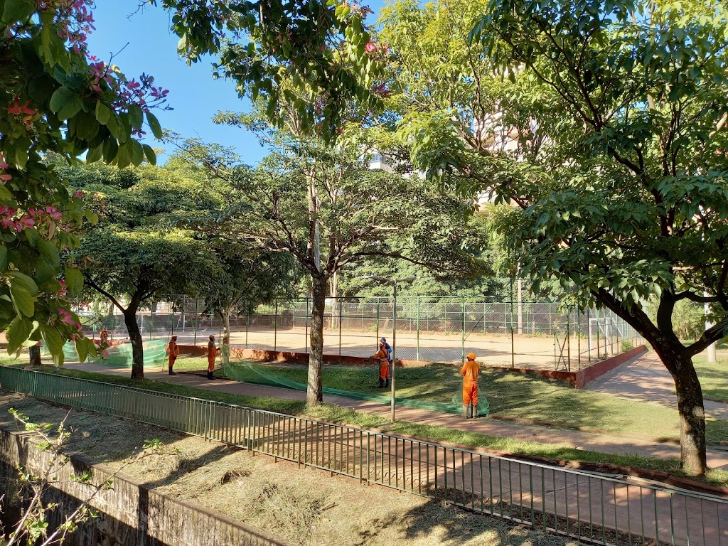 Foto  11