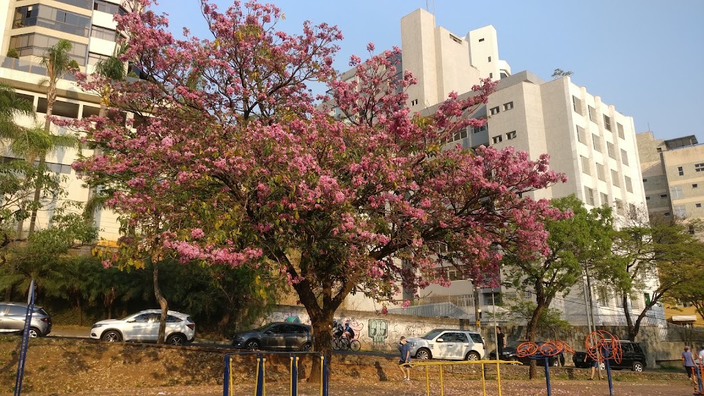 Foto  13