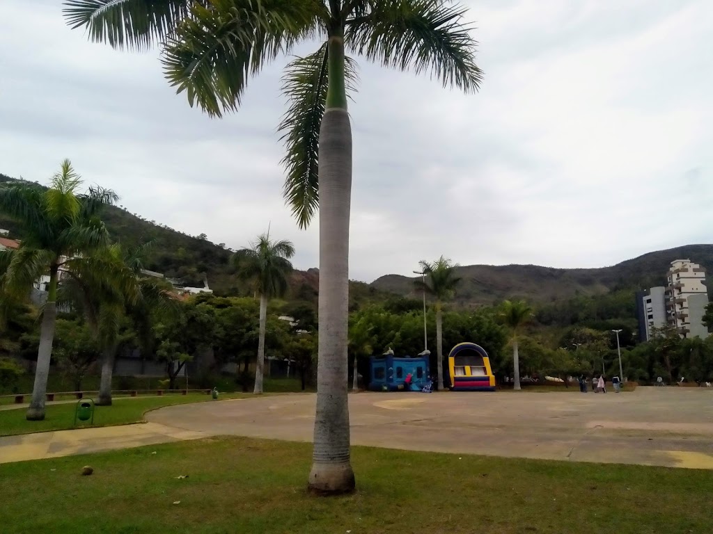 Foto  14