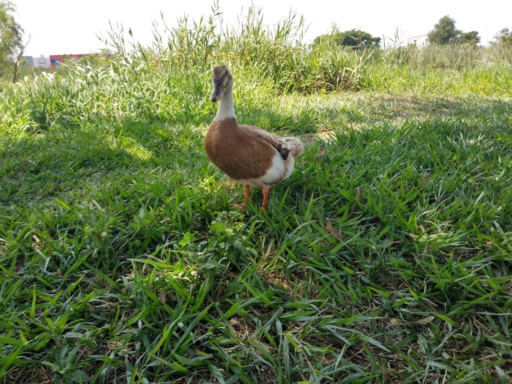 ANP Parque Ecológico de Tepic 6