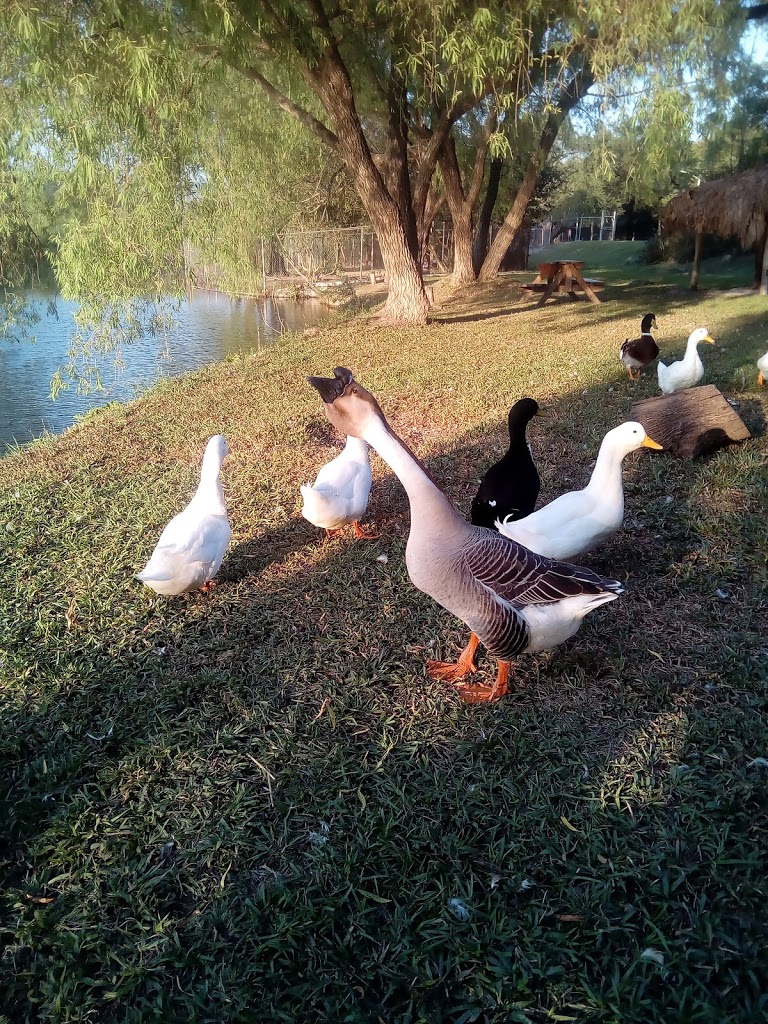 ANP Parque Ecológico de Tepic 9