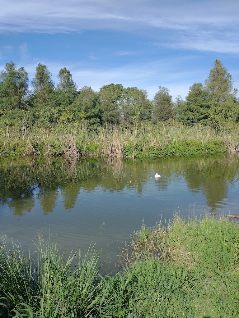 ANP Parque Ecológico de Tepic 1