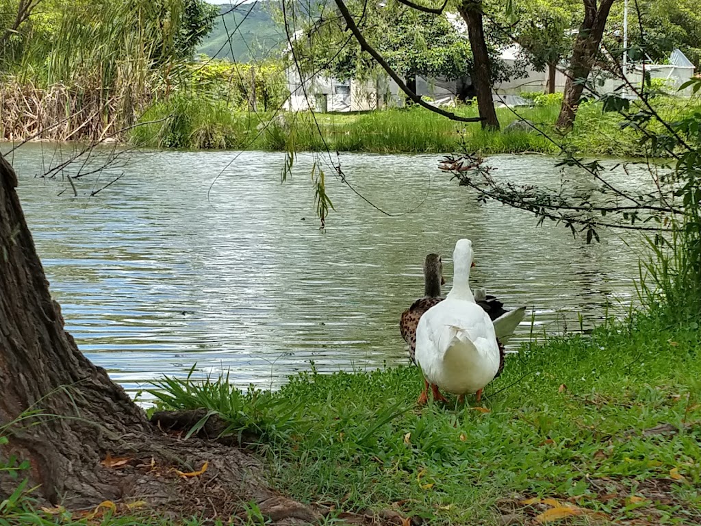 ANP Parque Ecológico de Tepic 2