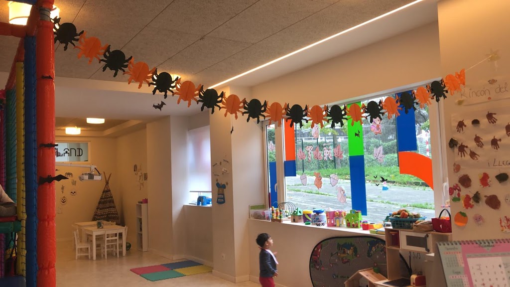 Foto  5