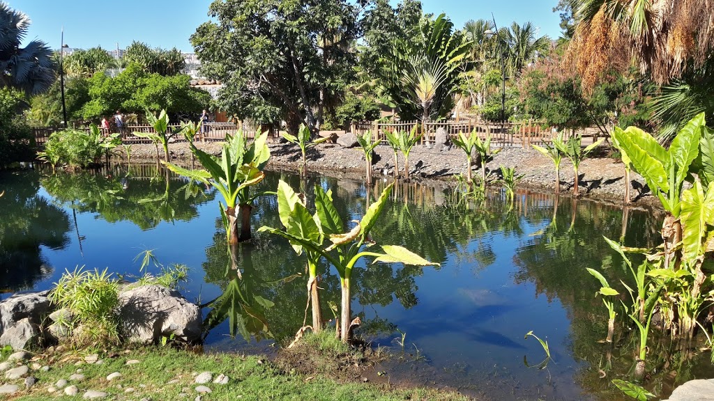 Foto  4