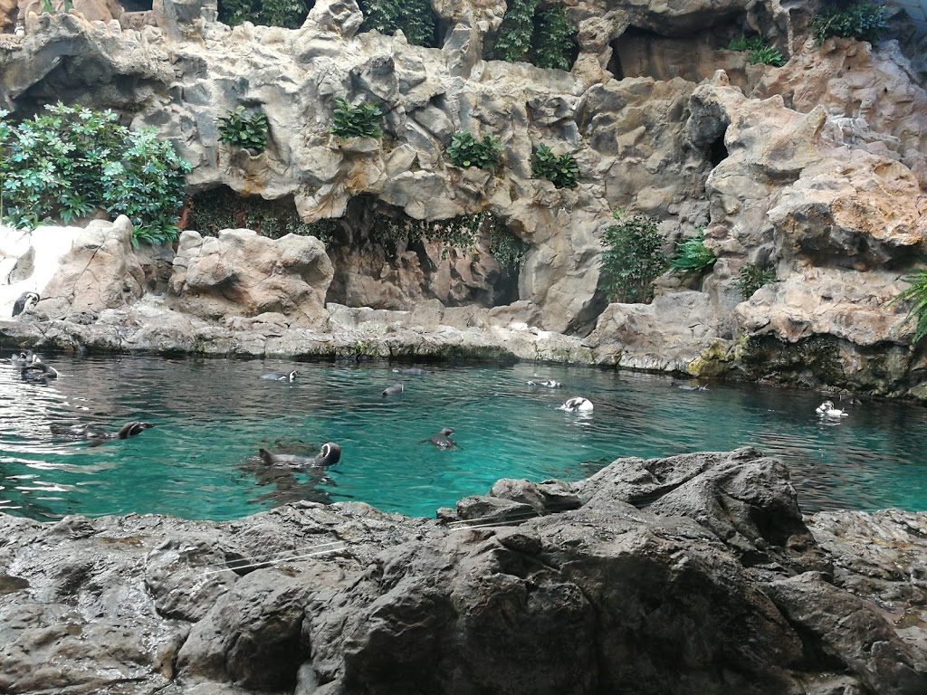 Foto  8
