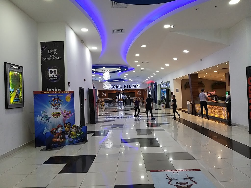 Foto  10