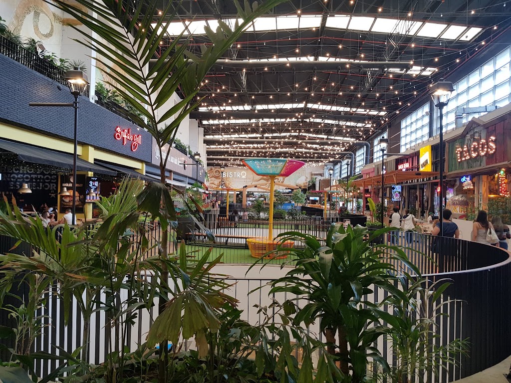 Foto  15