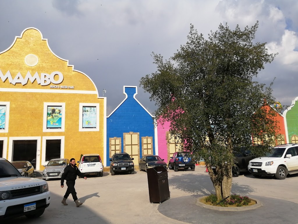 Foto  12