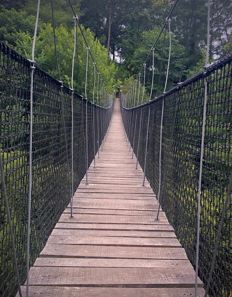 IrriSarri Land 2