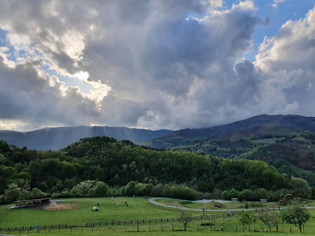 IrriSarri Land 5