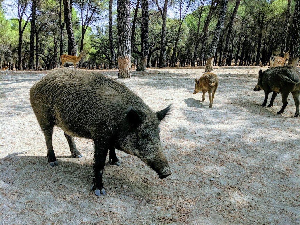 Foto  5