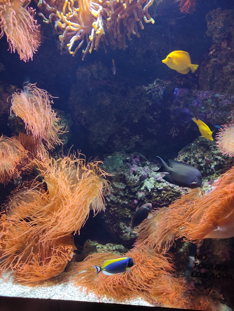 Foto  14