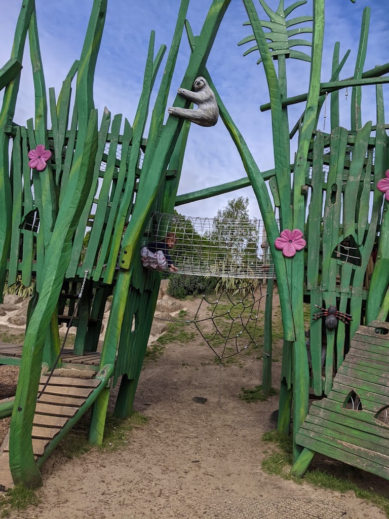 Foto  14