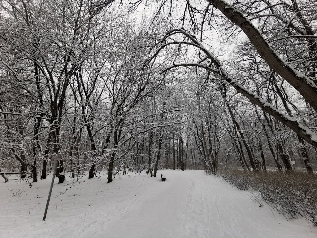 Foto  2