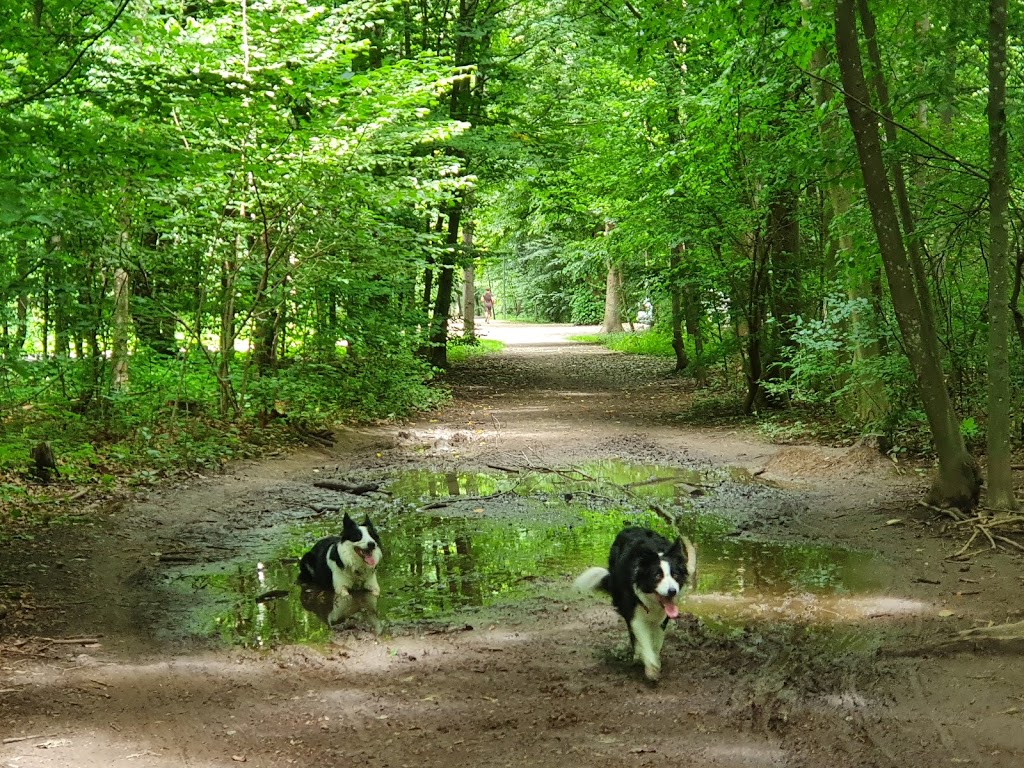 Foto  3