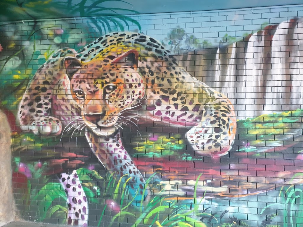 Foto  6