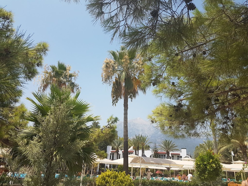 Foto  6