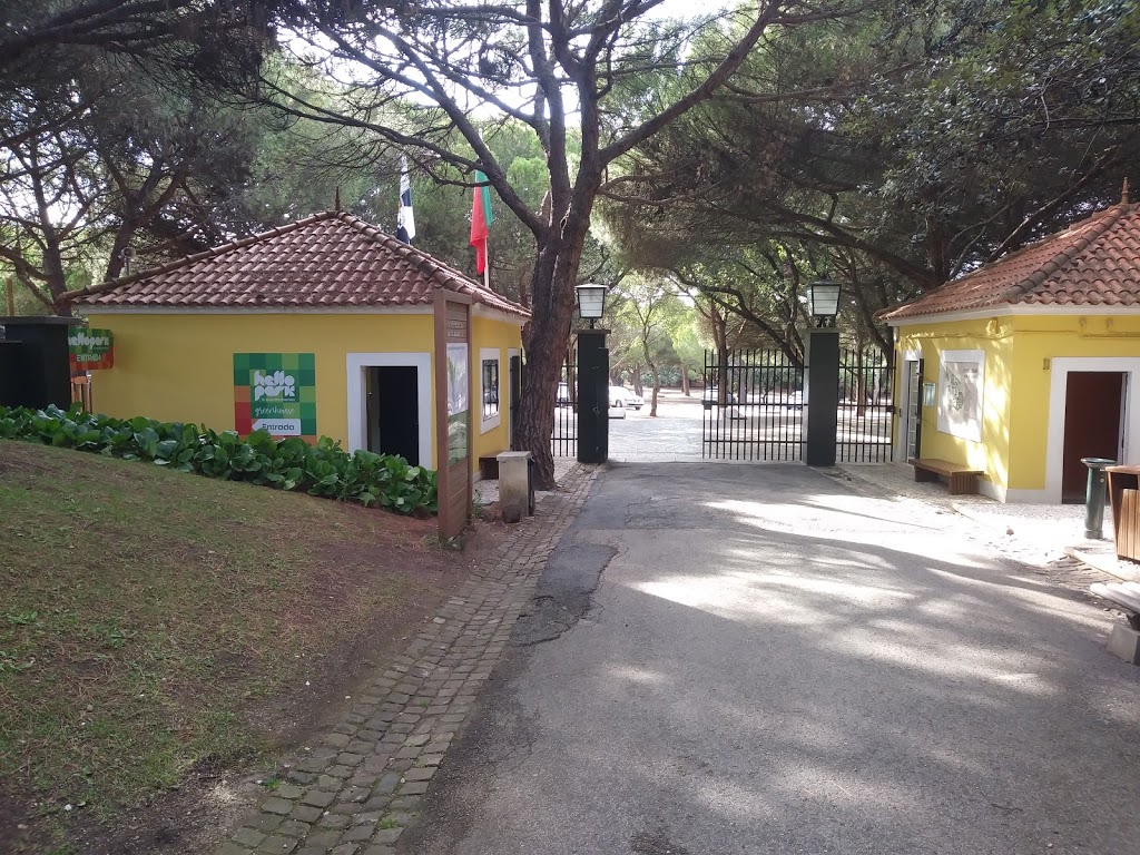 Foto  2