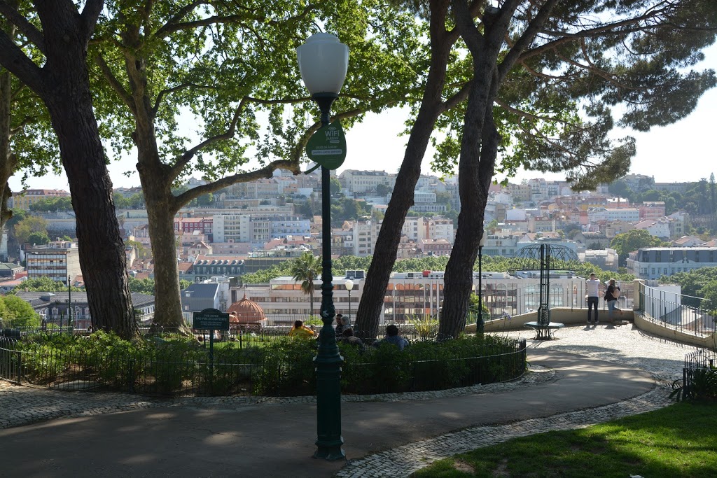 Foto  2