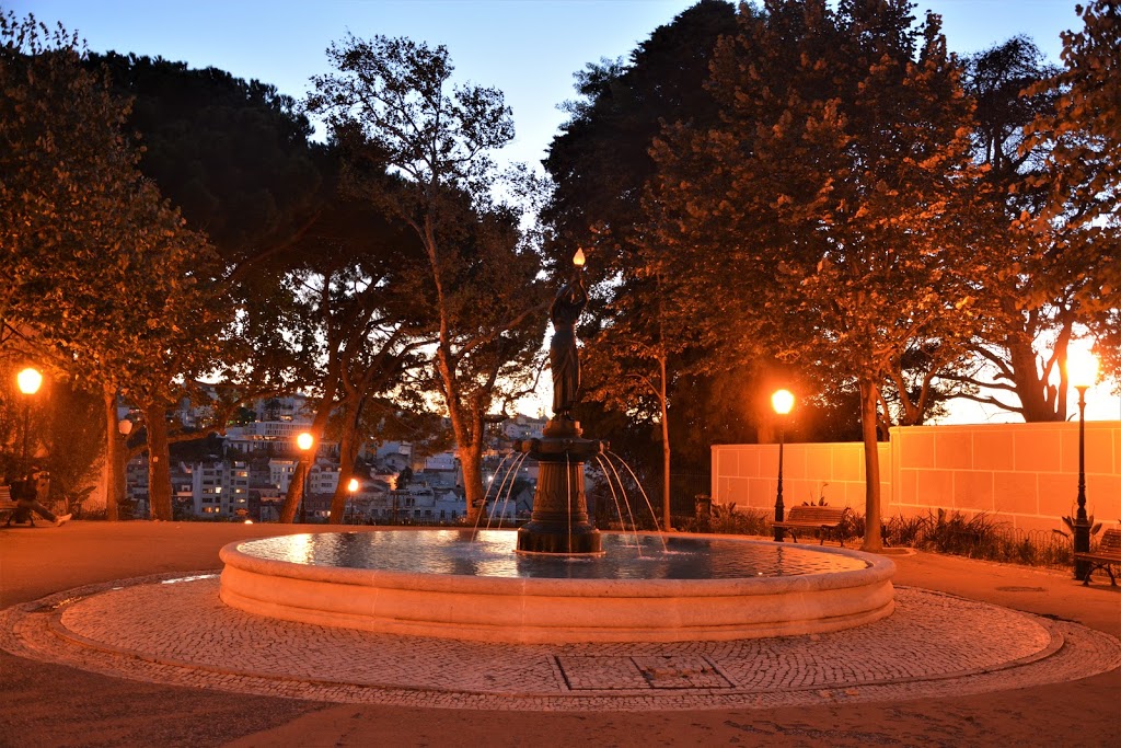 Foto  5