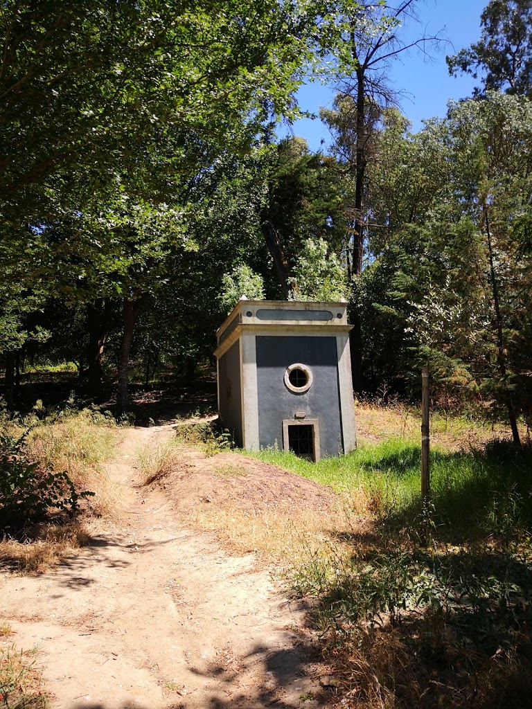 Foto  4