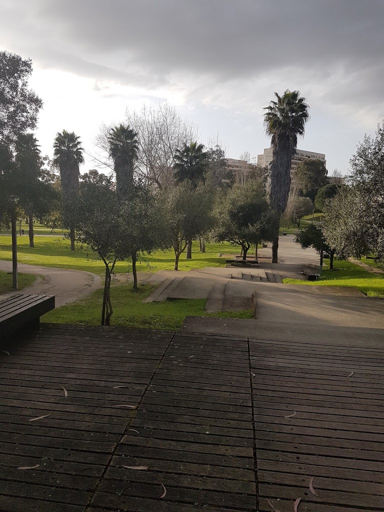 Foto  5