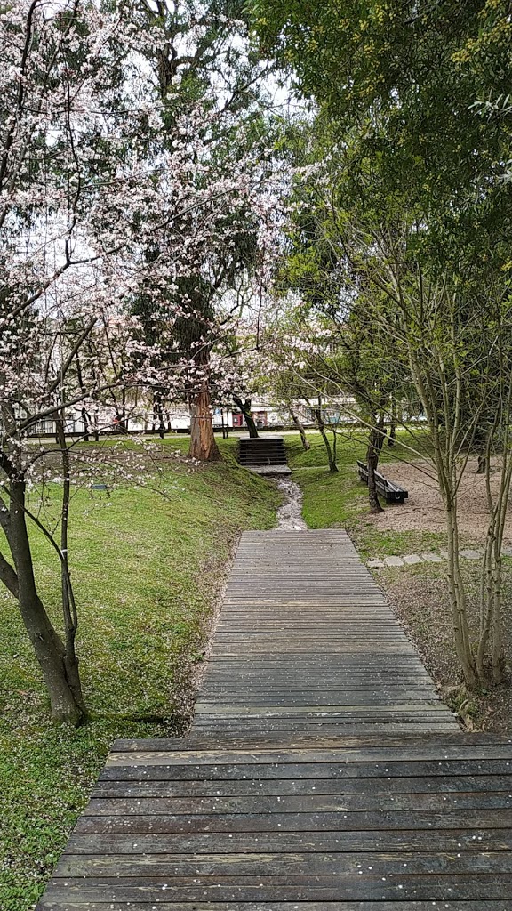 Foto  10