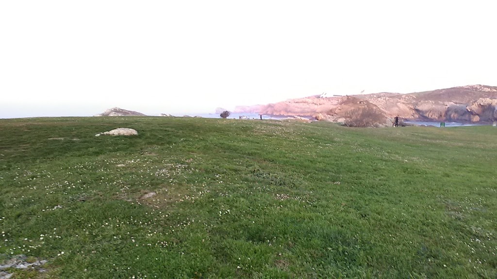 Foto  8