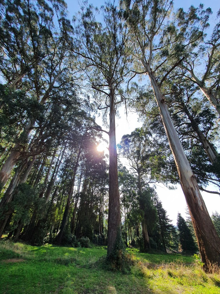 Foto  6