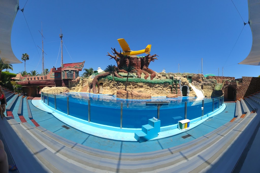 Foto  12