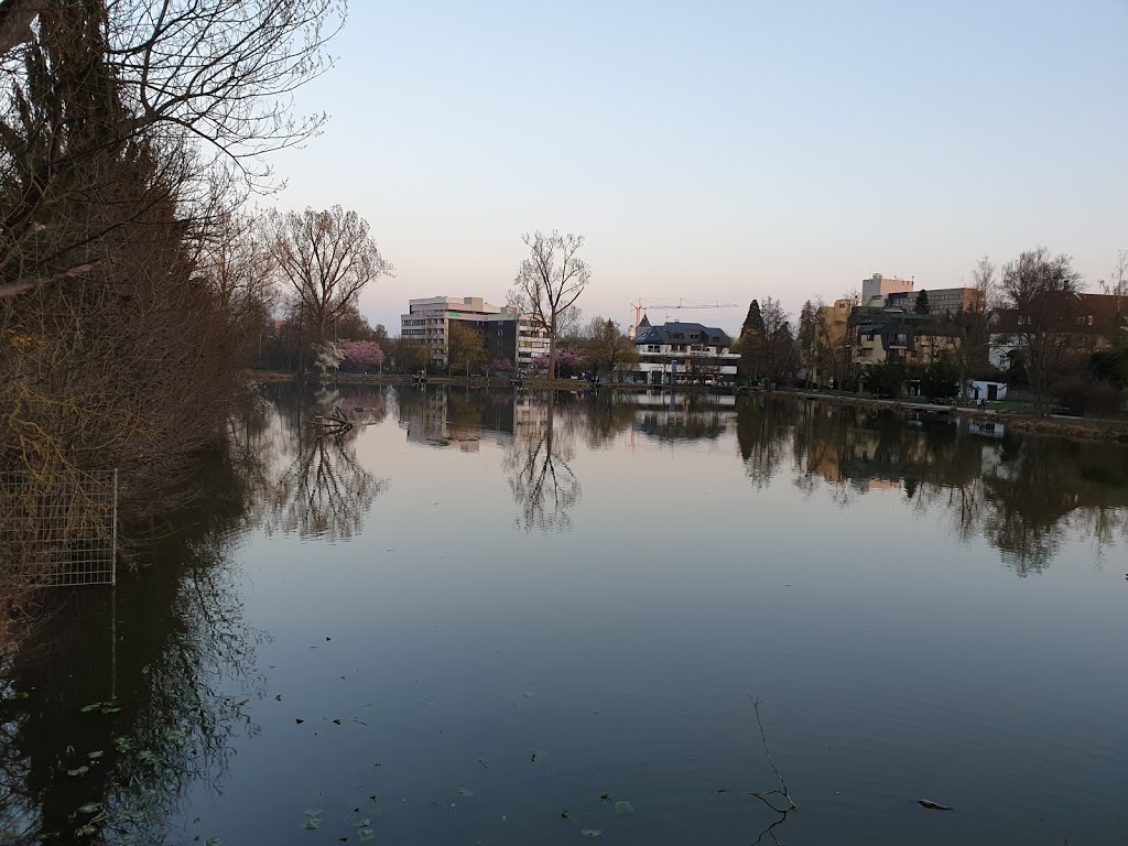 Foto  5